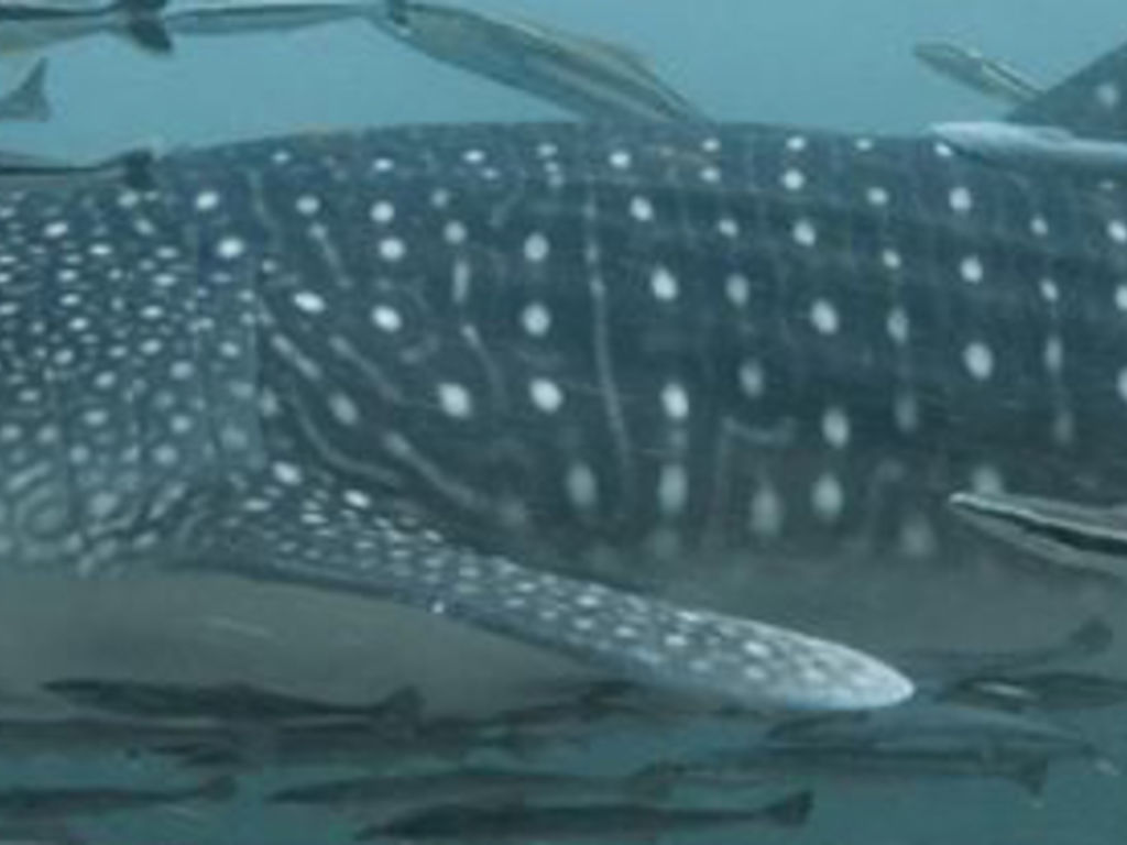 4a79d9cb-0ab7-4849-9e45-d98f8901aa32