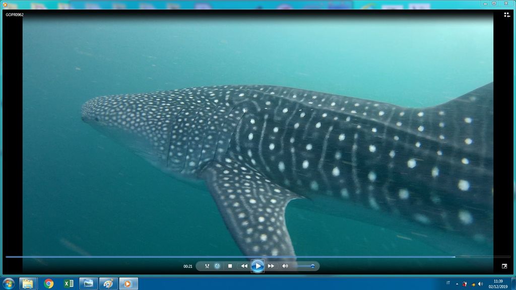 4db2a4eb-73a3-4fe4-8a87-599739500528