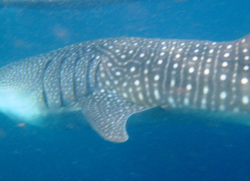 b71c26a1-9972-4813-acad-d44b1c2c6943