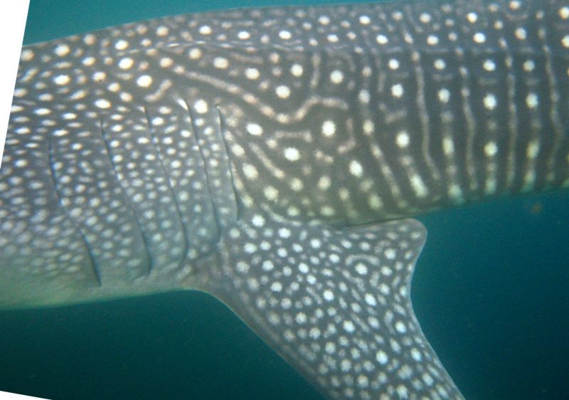 b71c26a1-9972-4813-acad-d44b1c2c6943