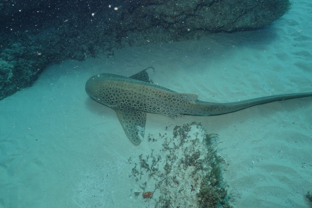 6a84de1c-8055-432d-a090-160b432b54a8