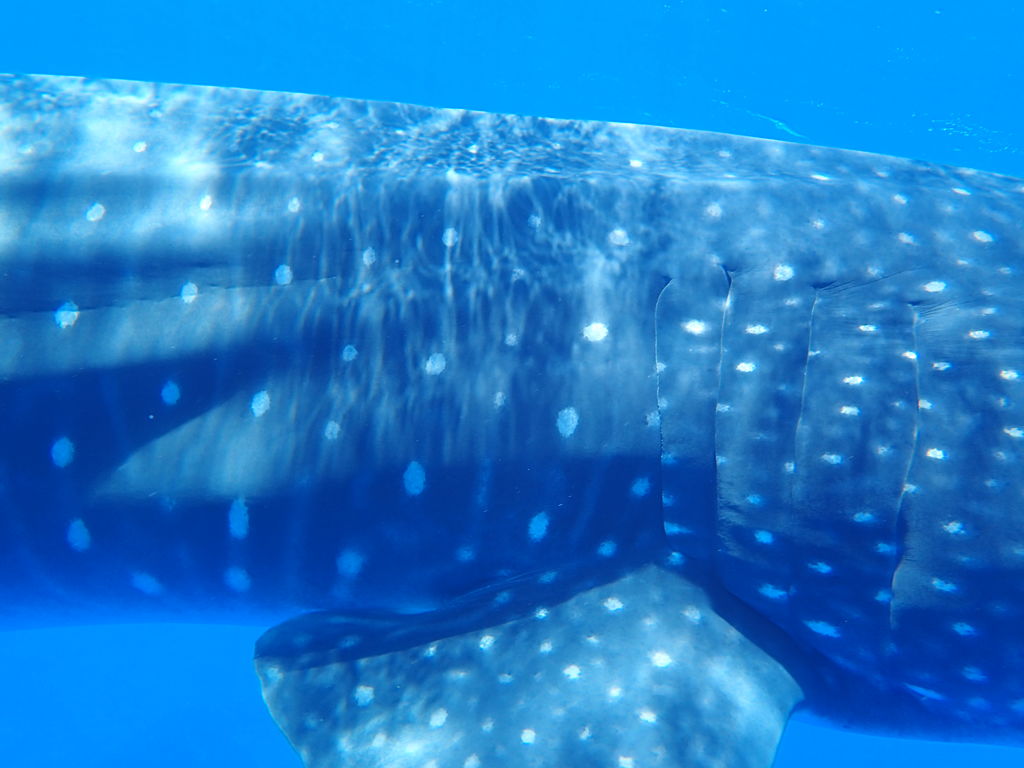 544b0a62-f63c-44cb-b1a5-c4f9e1888562