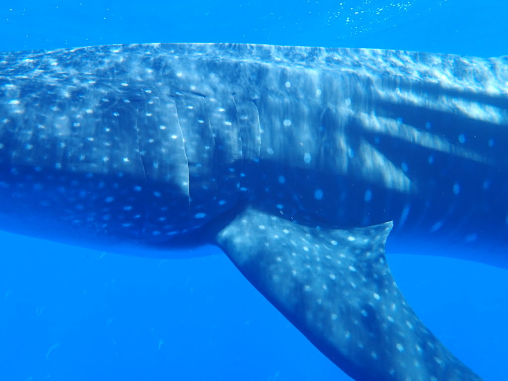 544b0a62-f63c-44cb-b1a5-c4f9e1888562