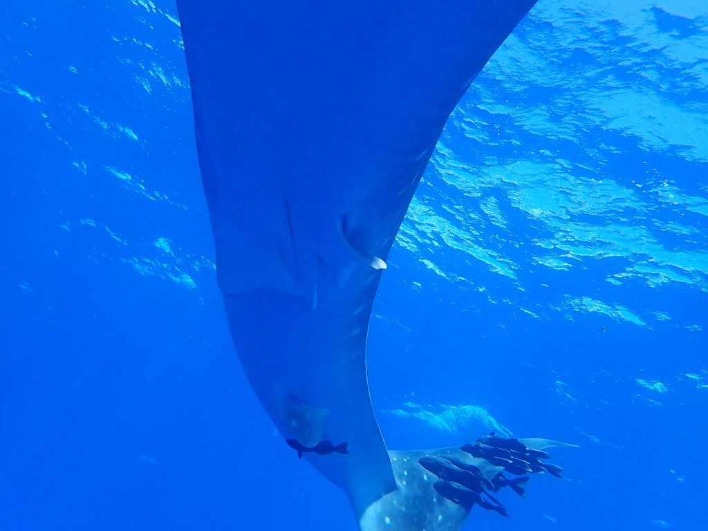 544b0a62-f63c-44cb-b1a5-c4f9e1888562