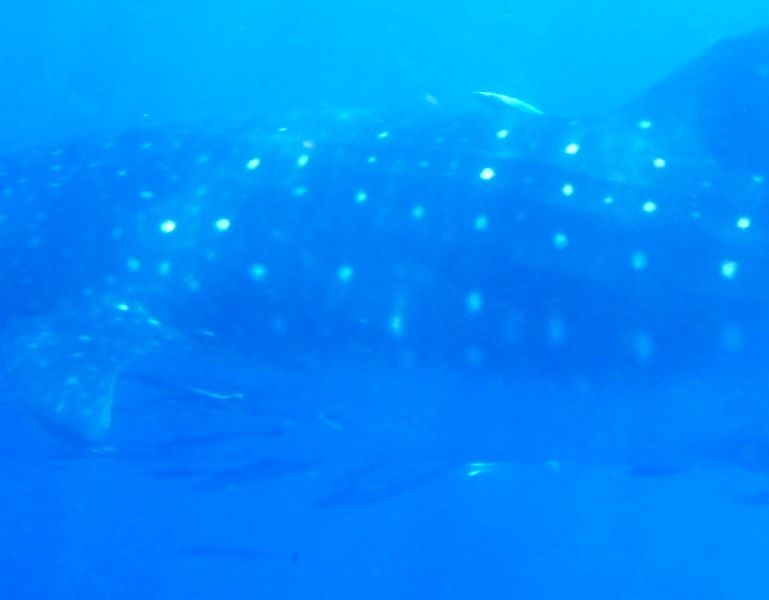 2508c600-c47a-43a5-9c84-cbb625f9d319