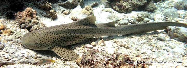 9e82749a-543e-4b82-a697-c30670de1090