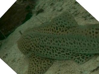 f532d730-1589-4559-a3cc-5df32edae7a6