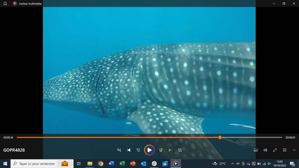 8426ba06-c7ac-441f-88c1-e220bf17082d