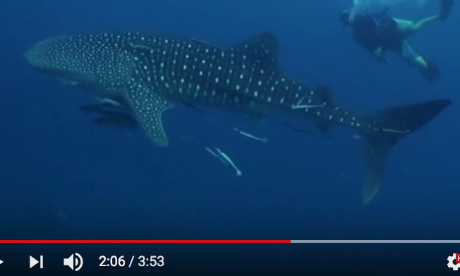 a05406e5-298e-481e-ac9e-9959f3f8ea05