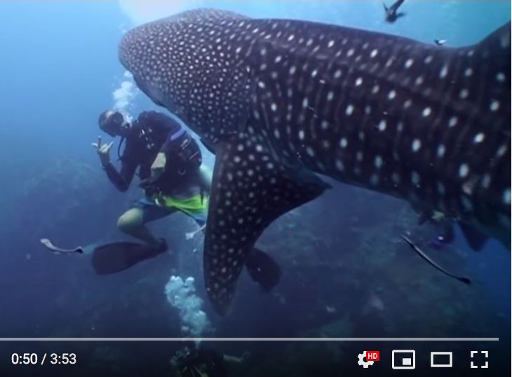 a05406e5-298e-481e-ac9e-9959f3f8ea05