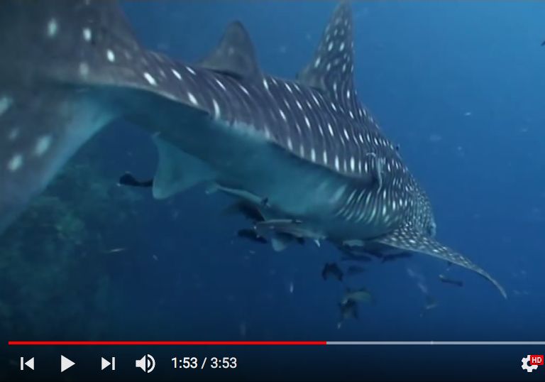 a05406e5-298e-481e-ac9e-9959f3f8ea05