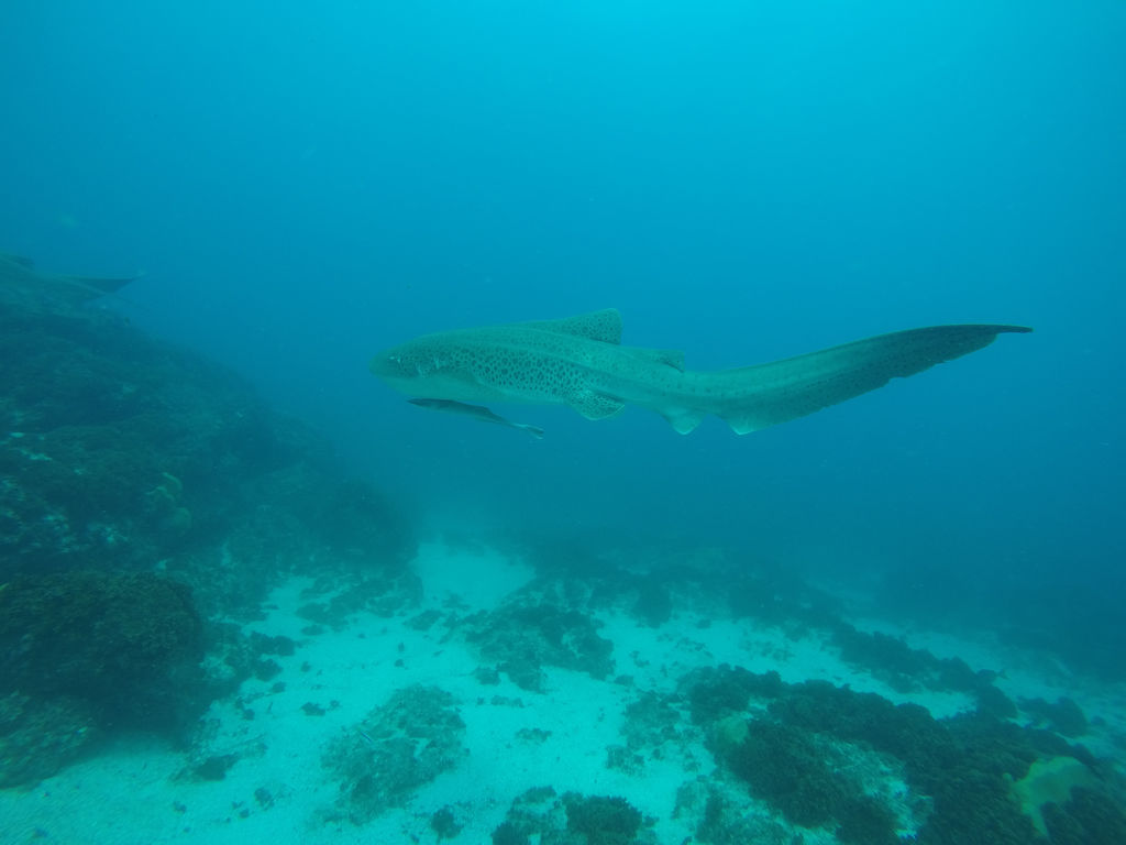 6659eb34-cd45-479b-89a8-8d8421eac661