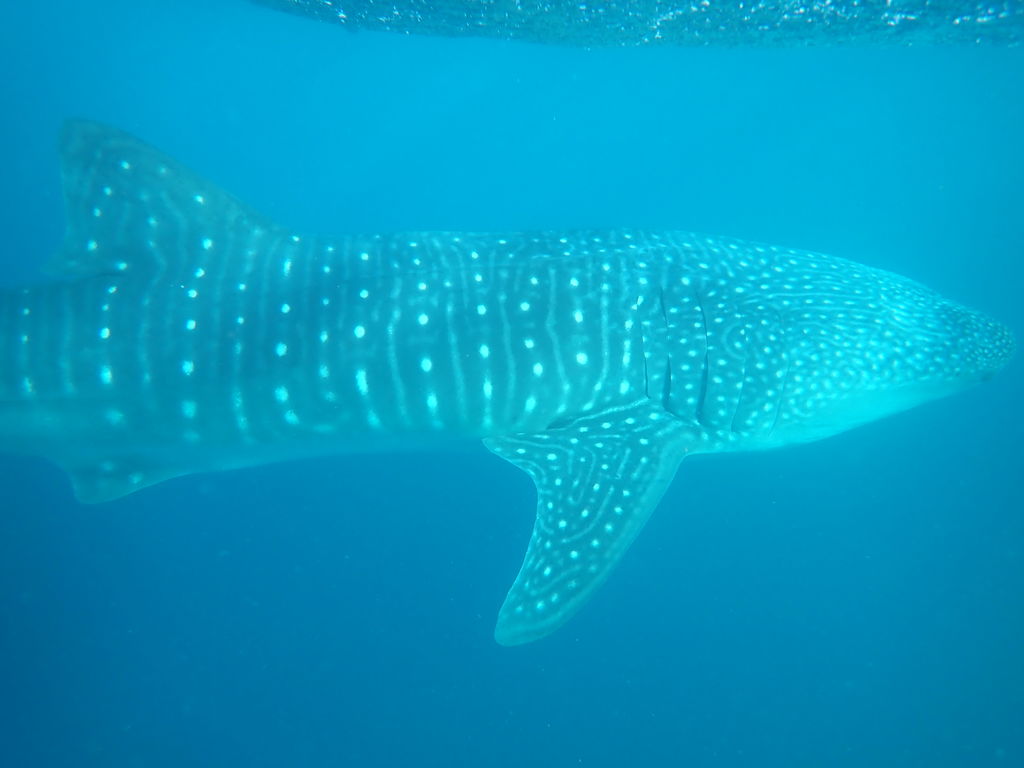 3017e50b-dec4-4cd6-afde-ec5982a25805