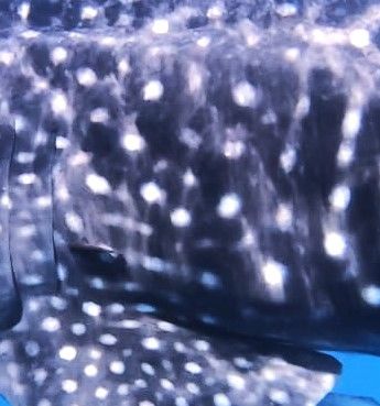 92beb91f-2539-454f-9b71-c65b6f16cc03