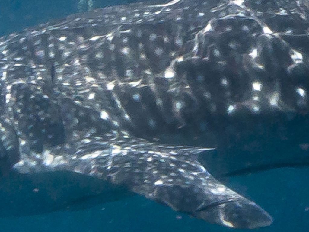 564501b2-8254-4245-ae3e-b761e9682d64