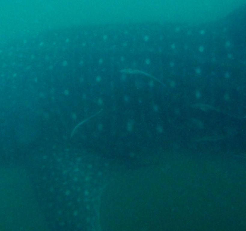 2ca3d5ca-ba19-4f20-8f32-68abc077e9ad