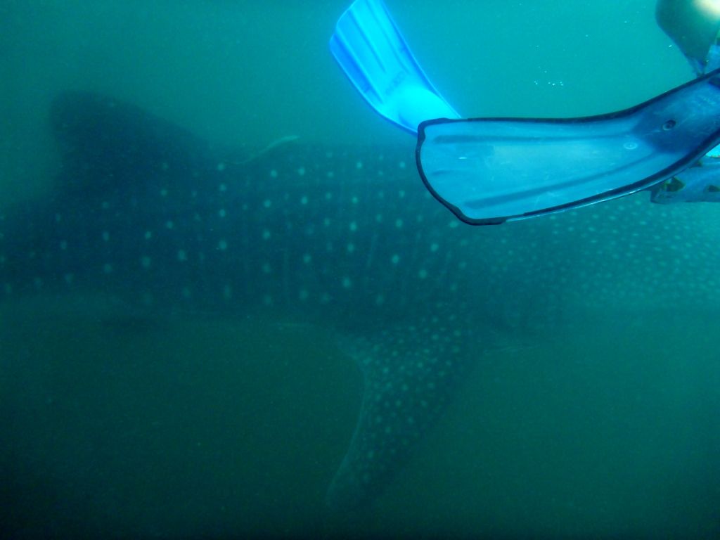 2ca3d5ca-ba19-4f20-8f32-68abc077e9ad