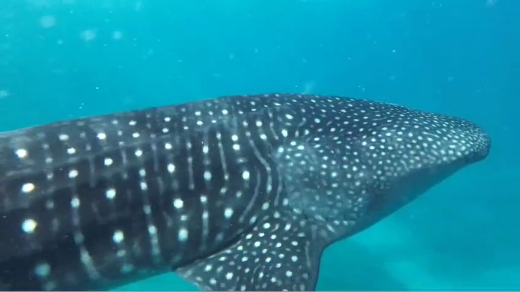 6ce186d4-2a59-4a15-8a74-d799ce73b4c3