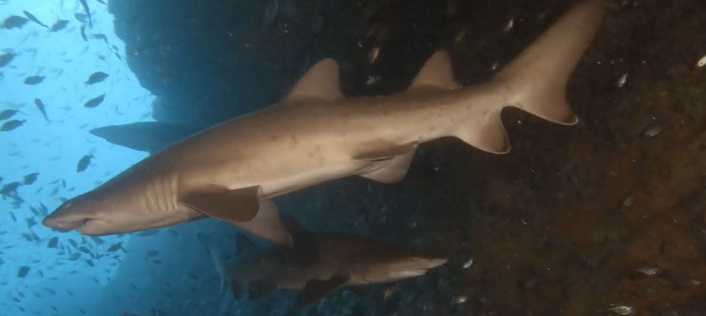 a9f6bc90-33c7-44bc-9005-c92f279dce67