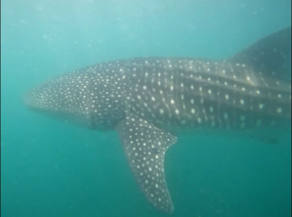 5c0c4d89-e148-4dd6-b456-fbed53b99c70