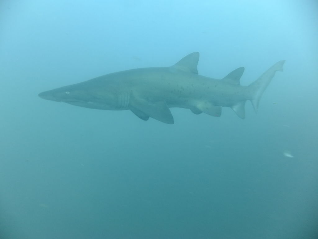 541b5dfc-acf3-428c-9496-f5e48bb8fc8a