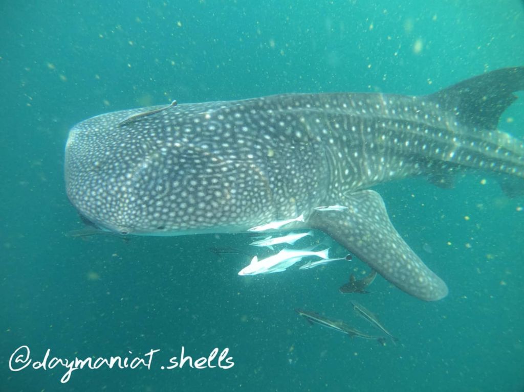 35ddb7e7-3438-4645-a74c-5698f568bf57