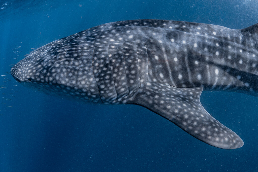 b77e9c5d-765a-47c0-8a81-5cd1c98c688d