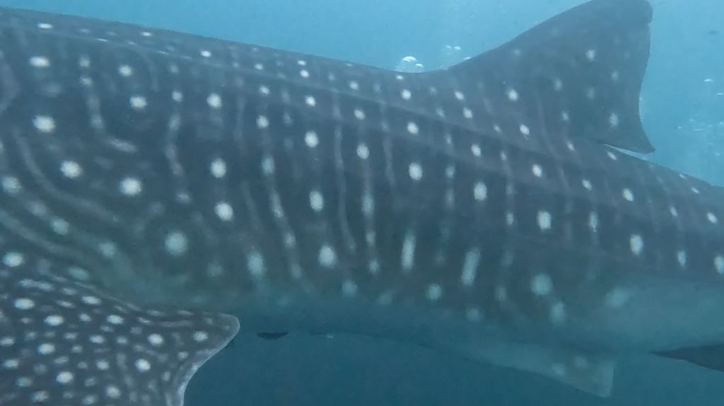 e1112eca-d450-4d9e-9de6-3d13447b8e15