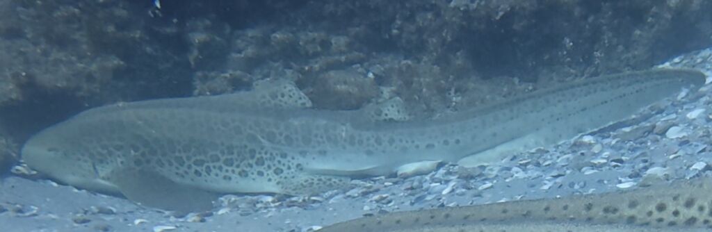 cc7fa32a-73e9-4979-bfff-0c3510016f58