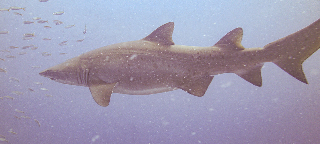 42a46449-19cc-40bf-9c3f-f5c141ac912c