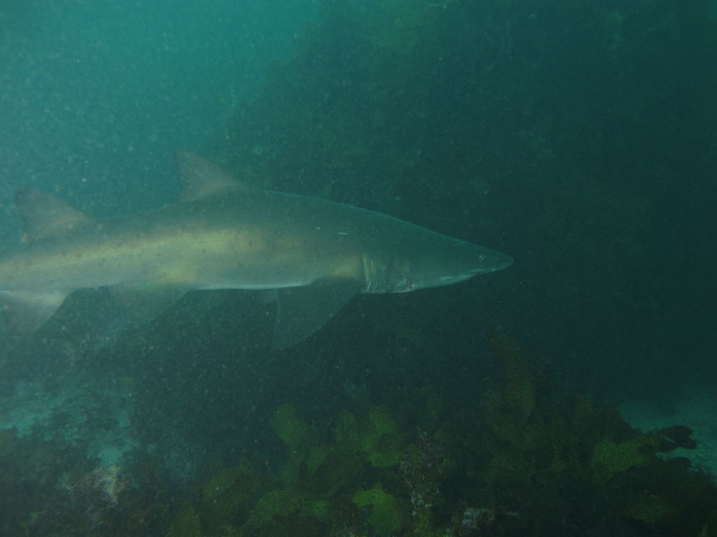 8ad97bc9-4966-4b24-8c46-c751f811cbda