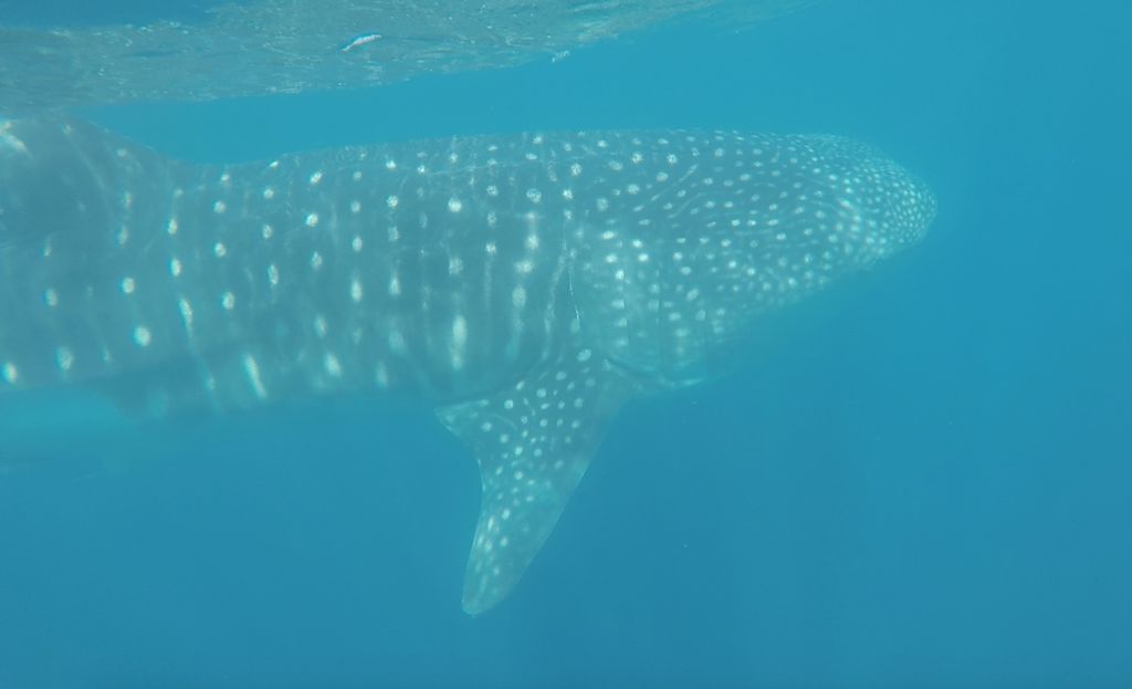 c24be13f-0c36-4304-989f-be39fad41cbc