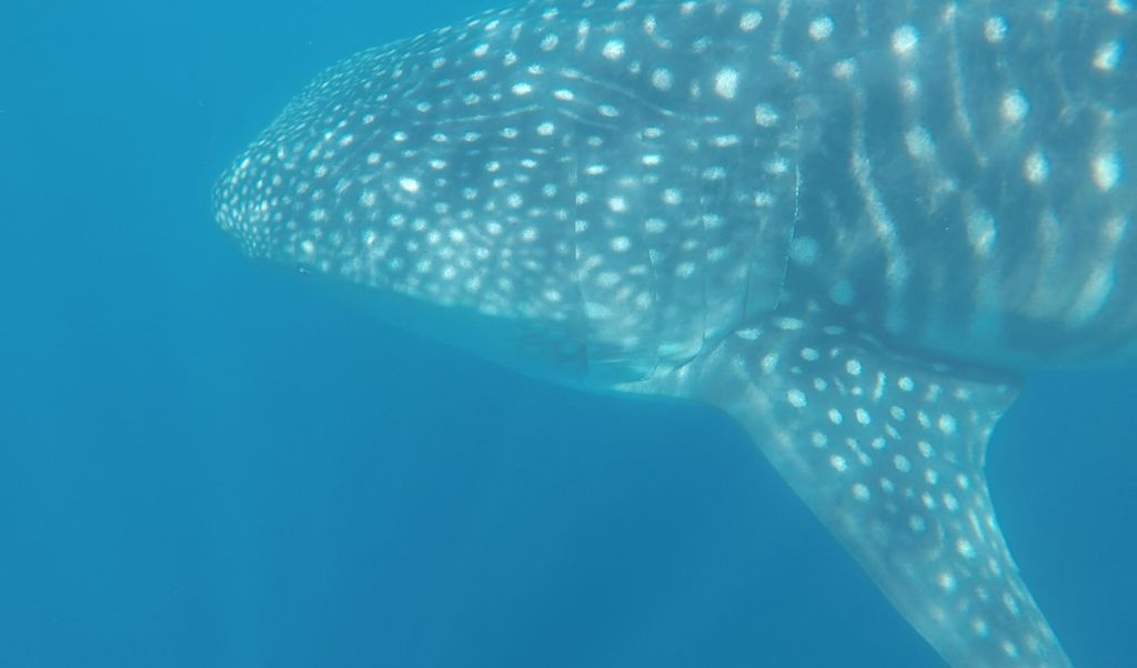 c24be13f-0c36-4304-989f-be39fad41cbc