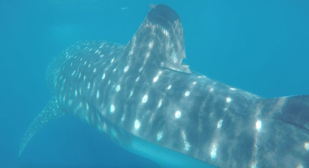 c24be13f-0c36-4304-989f-be39fad41cbc