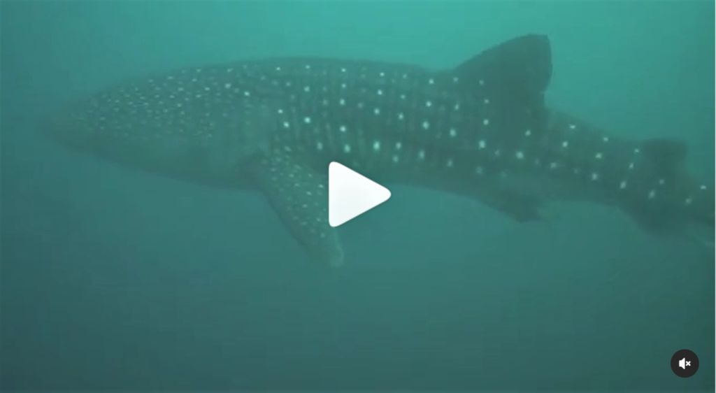 dc5b3fc6-9b8d-40e9-8150-b82a7857a467