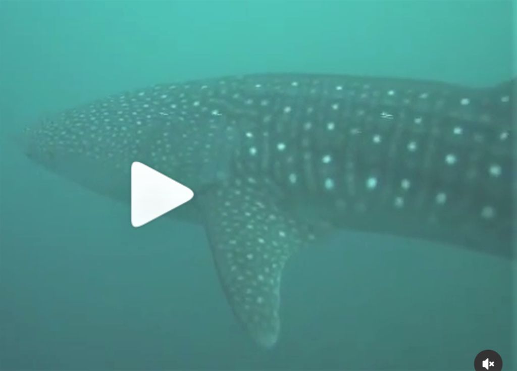 dc5b3fc6-9b8d-40e9-8150-b82a7857a467