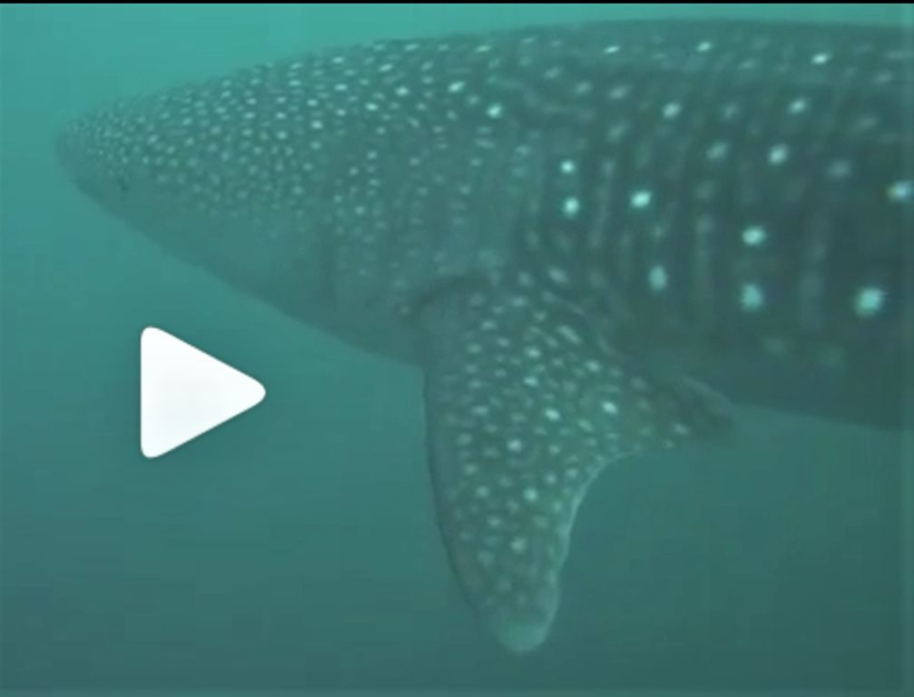 dc5b3fc6-9b8d-40e9-8150-b82a7857a467