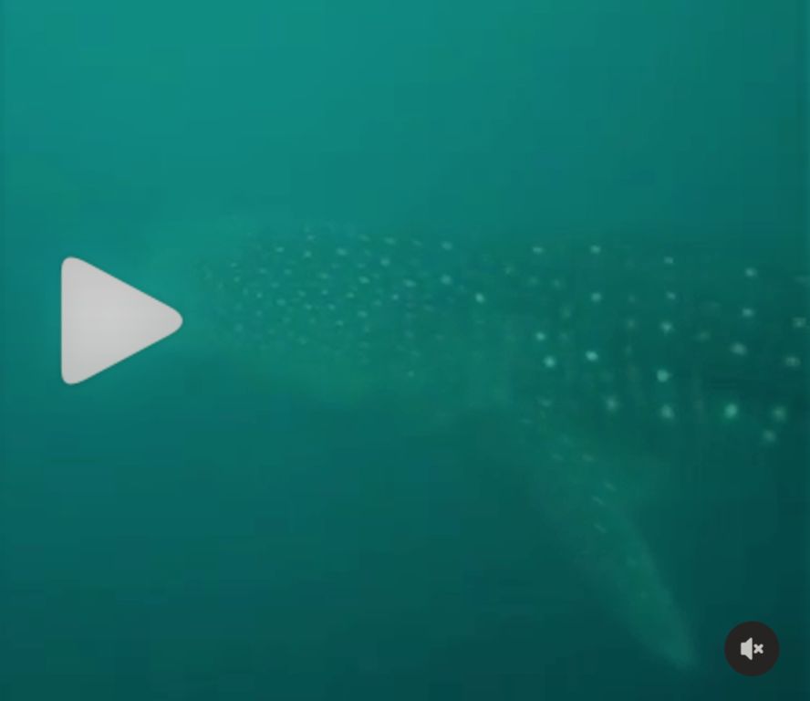 dc5b3fc6-9b8d-40e9-8150-b82a7857a467