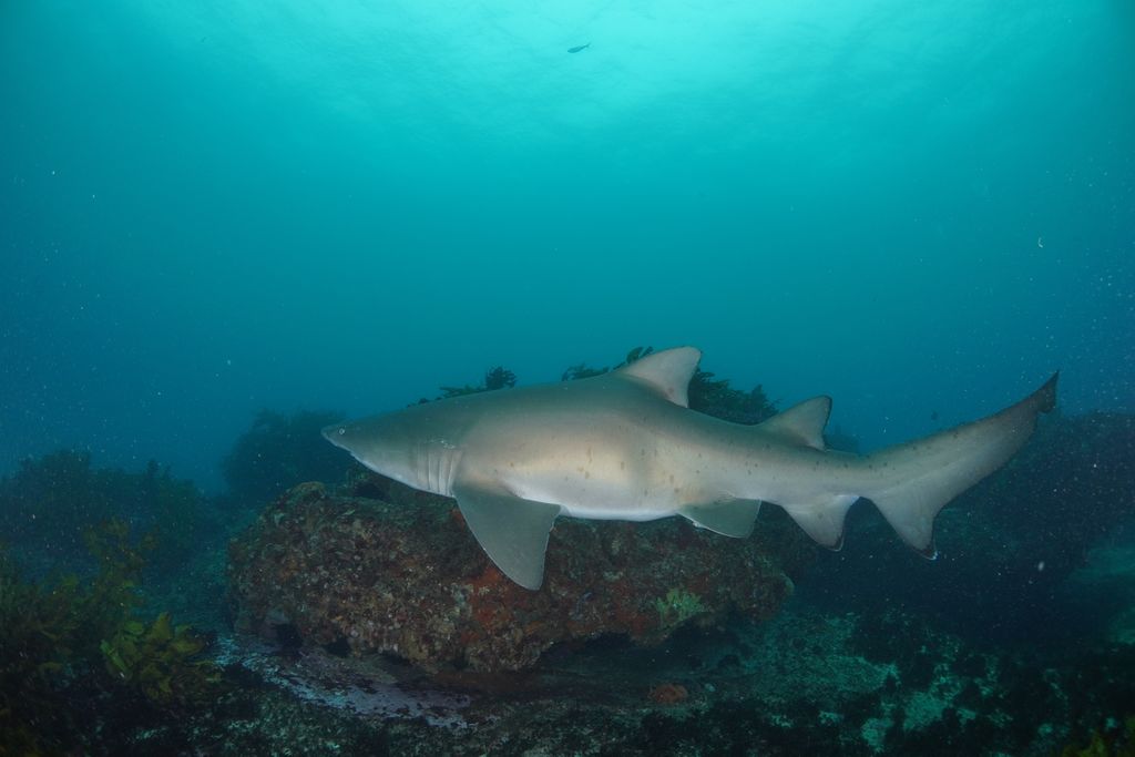 b9fe2139-26d3-4760-9414-2cb1ed89b3a6