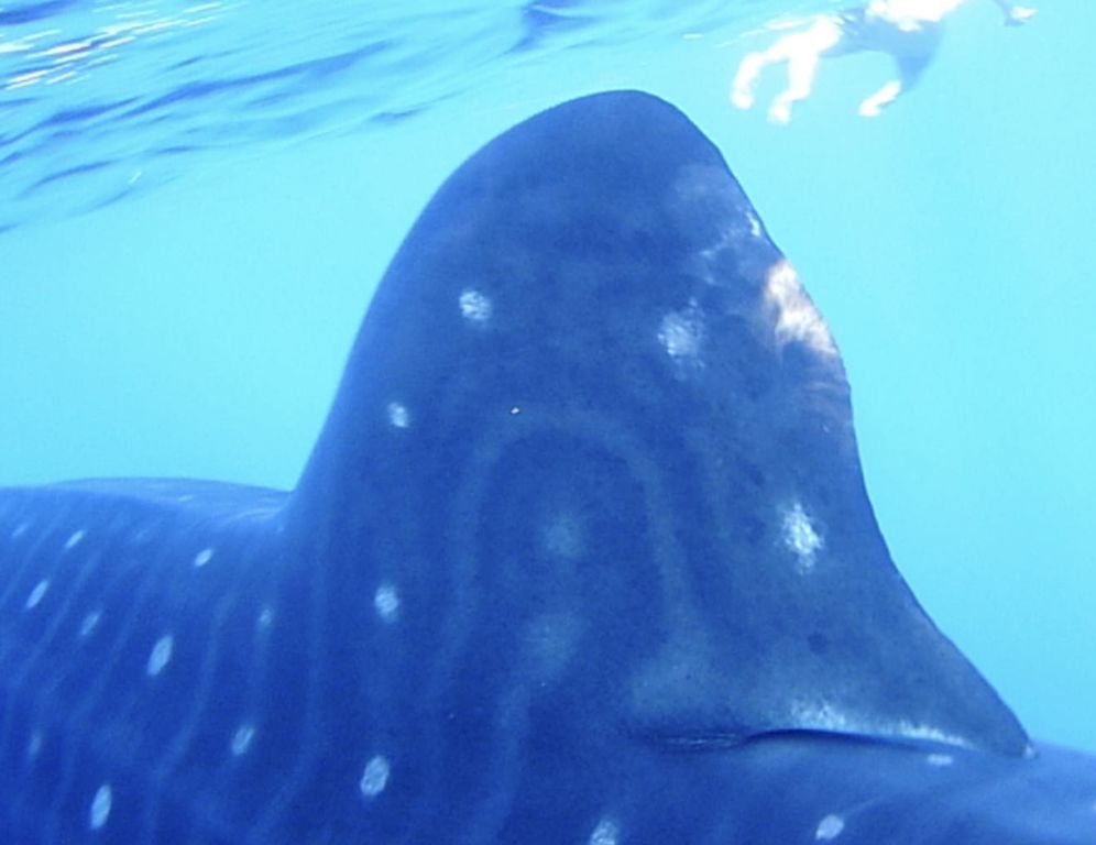 0db63ed9-61fa-4dbd-a206-323e1c778301