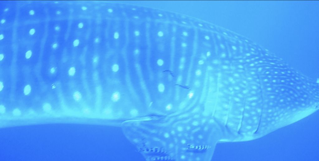 0db63ed9-61fa-4dbd-a206-323e1c778301