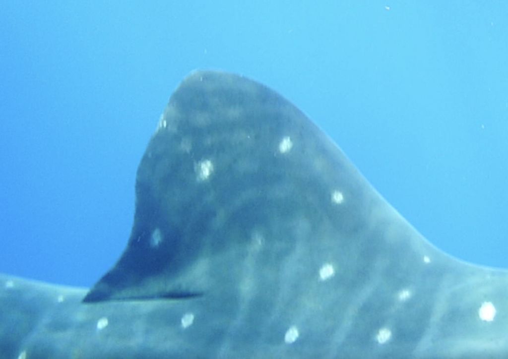 0db63ed9-61fa-4dbd-a206-323e1c778301