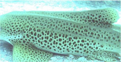 8245a83d-c0c2-4ec7-b12c-a452e6b5bd6c