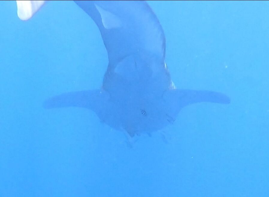 604abf28-328b-4063-bf0f-8733ca0a6bc9