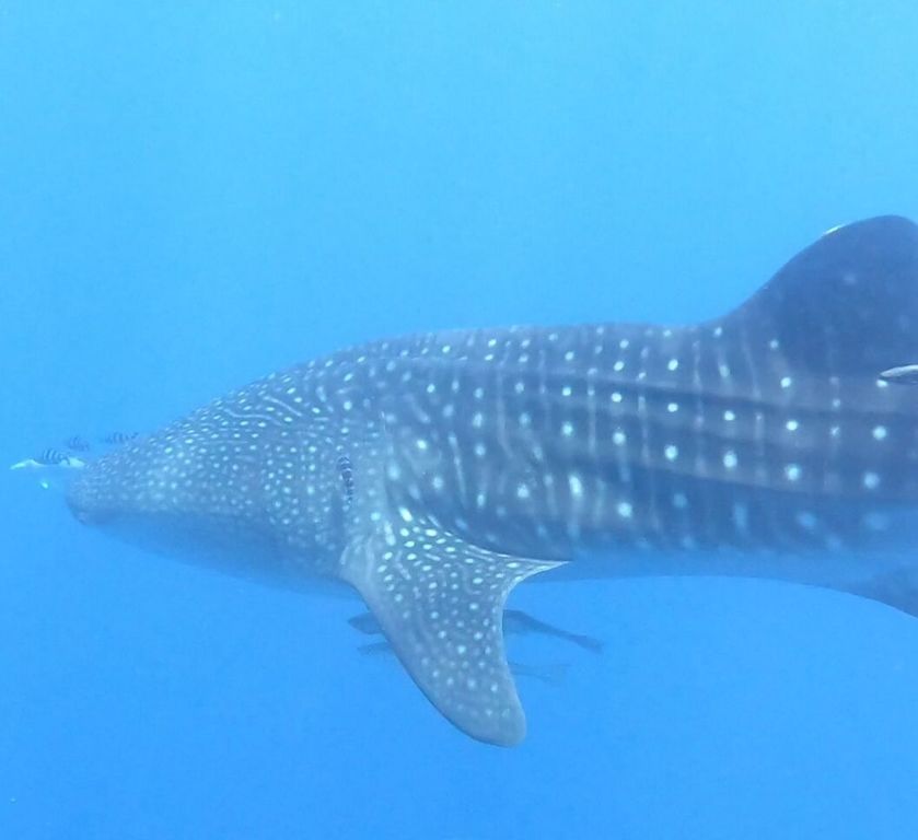 604abf28-328b-4063-bf0f-8733ca0a6bc9