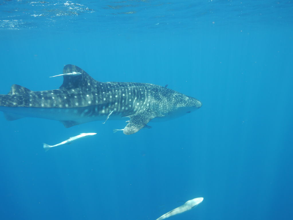 604abf28-328b-4063-bf0f-8733ca0a6bc9