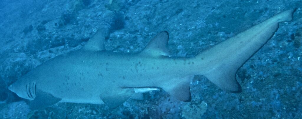 dd17fe47-9399-417d-a9ac-cfbe1857b881