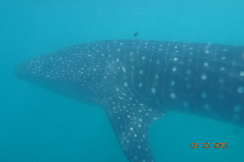 bea6d8d1-4672-4bda-a338-8d129b782a37