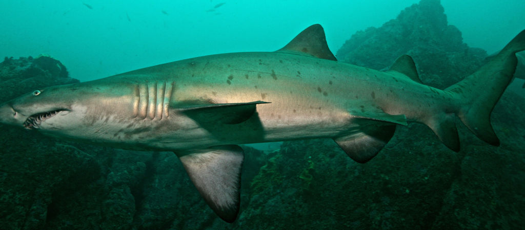 8ebe8d35-f9d5-440e-8864-fa04c33c7cdf