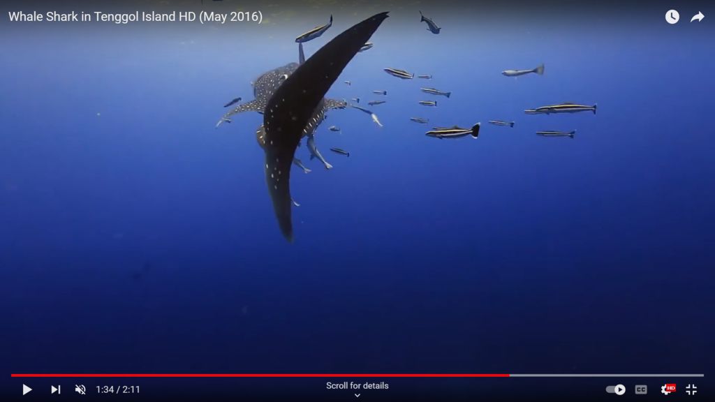 2fdedb2a-3b4d-4e83-bca0-445f840139b9